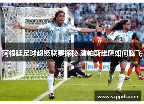 阿根廷足球超级联赛探秘 潘帕斯雄鹰如何腾飞