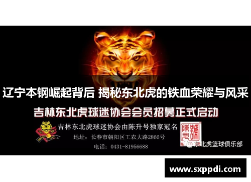 辽宁本钢崛起背后 揭秘东北虎的铁血荣耀与风采